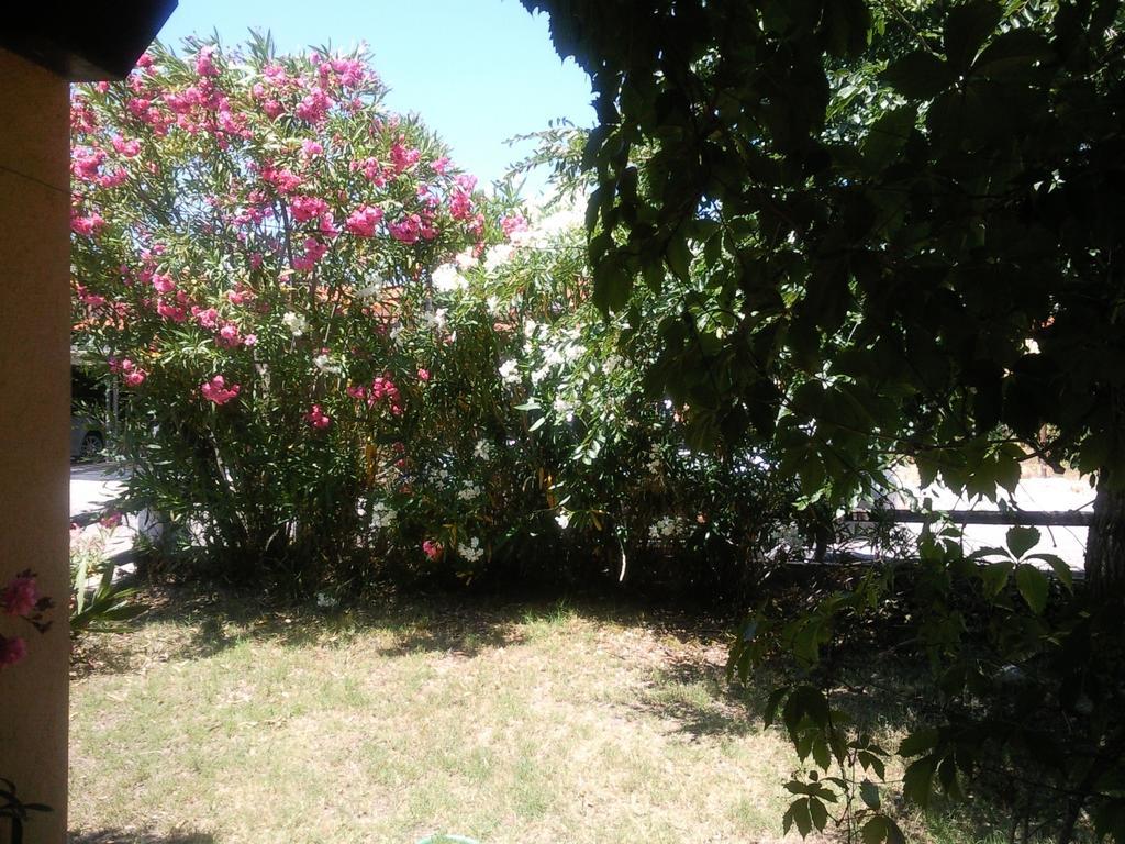 Monolocale San Teodoro Apartamento San Teodoro  Quarto foto